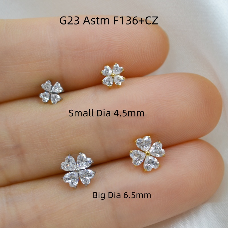 AMIGATINA卸売店 10個入り G23チタン ASTM - Body Jewelry Store のレビューと価格