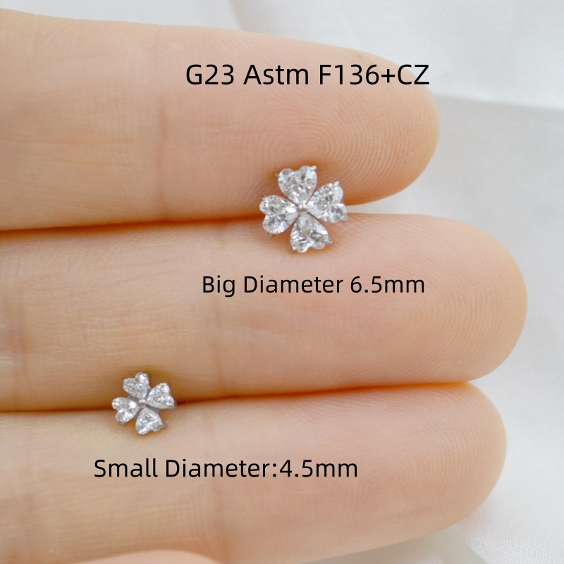 AMIGATINA卸売店 10個入り G23チタン ASTM - Body Jewelry Store のレビューと価格